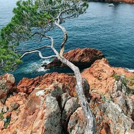 2 Pieces 4/5 Personnes Rez-de-jardin - Cap Esterel, Cote D'azur Appartement